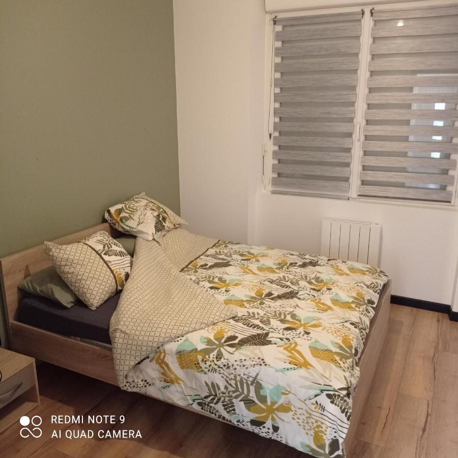 Maisonnette Tout Confort Parking Prive เบรสต์ ภายนอก รูปภาพ